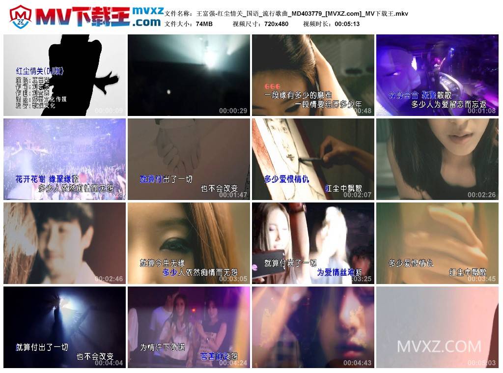 王富强-红尘情关_国语_流行歌曲_MD403779